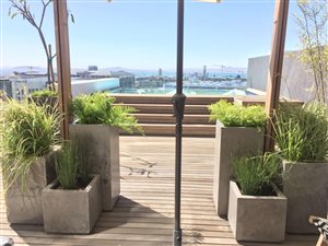 2 Bed Apartment in Green Point