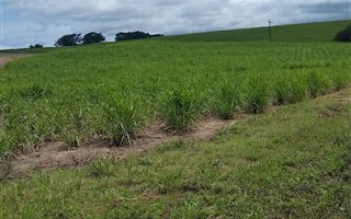 2 ha Farm in Ballito