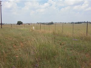 2.1 ha Land available in Sherman Park AH