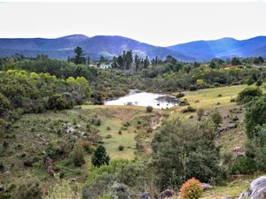 9 ha Farm in Plettenberg Bay Rural
