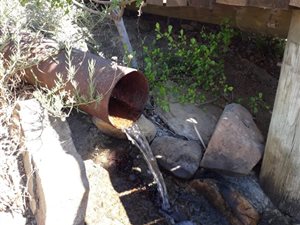 89 ha Farm in Montagu