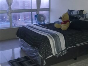 1 Bed Apartment in North Beach