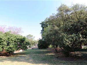 5400 m² Land available in Bryanston