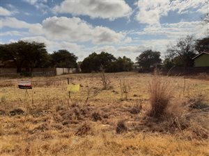 1000 m² Land available in Stella