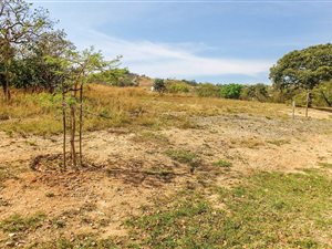 3181 m² Land available in Sonheuwel