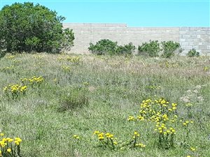897 m² Land available in Riversbend