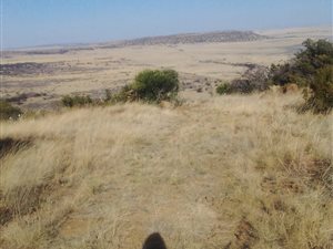 671 ha Farm in Ventersburg