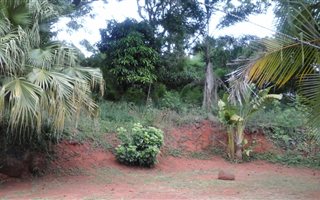 2449 m² Land available in Modjadjiskloof