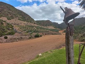 77 ha Farm in Calitzdorp