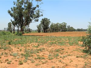 8.1 ha Land available in Valley Settlements AH