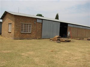9 ha Farm in Tweedragt