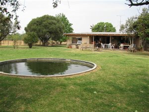 9 ha Farm in Tweedragt