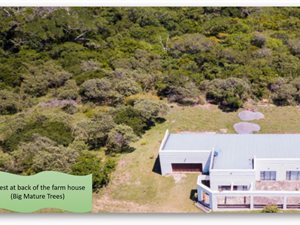 22 ha Farm in Port Alfred