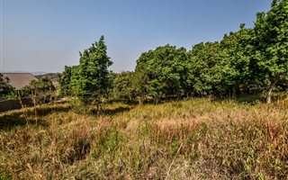 1557 m² Land available in Shandon Estate