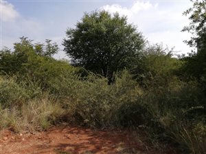 1200 m² Land available in Seasons Lifestyle Estate