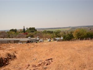 26 ha Farm in Hoedspruit