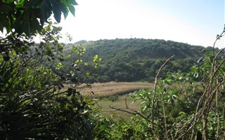 2194 m² Land available in Elysium