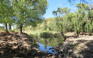 659 ha Farm in Ladybrand