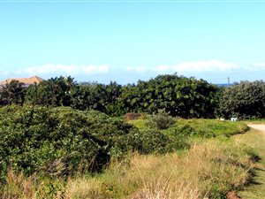 1123 m² Land available in Port Edward