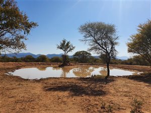 704 ha Farm in Rooiberg