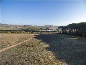 1 ha Farm in Stellenbosch Agricultural