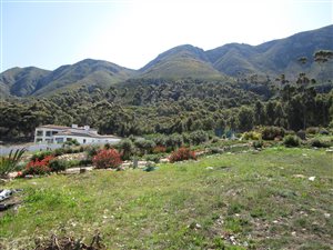 2364 m² Land available in Berghof