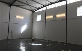 290 m² Industrial space in Elsies River