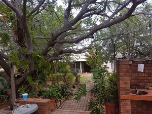 8.5 ha Farm in Bela-Bela (Warmbaths)