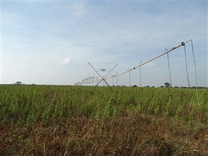 214 ha Farm in Bela-Bela (Warmbaths)
