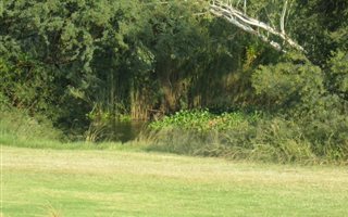 705 m² Land available in Parys Golf Estate