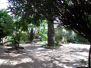 3 Bed House in Orange Grove