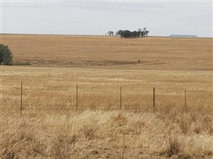 714.8 ha Farm in Senekal