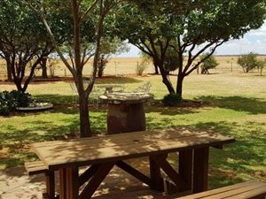 257 ha Farm in Boshof