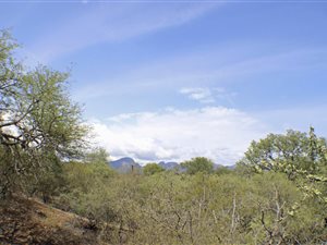4334 m² Land available in Blyde Wildlife Estate