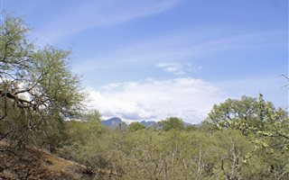 4334 m² Land available in Blyde Wildlife Estate
