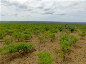 42 ha Farm in Dinokeng