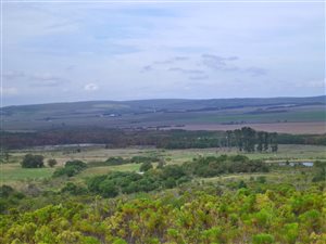 86 ha Farm in Baardskeerdersbos