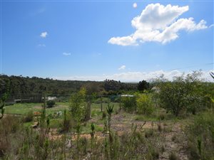 1161 m² Land available in Napier