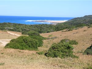 1.6 ha Land available in Kaysers Beach