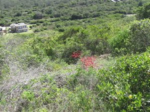 705 m² Land available in Reebok