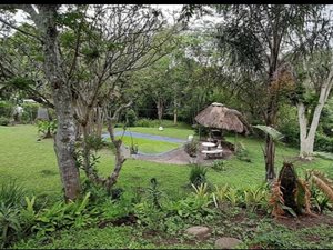 5 Bed House in Atholl Heights