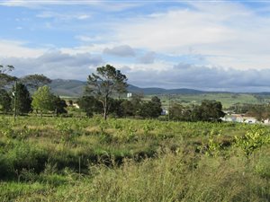 71 ha Farm in Thornhill