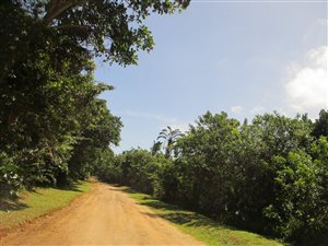 1404 m² Land available in Glenmore