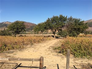 1 ha Farm in Franschhoek