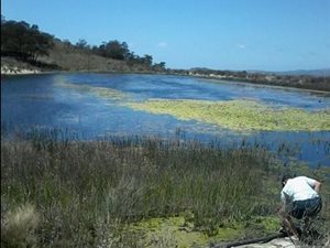 491 ha Farm in Humansdorp