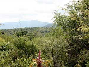 1206 m² Land available in Ohrigstad