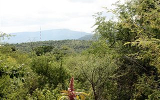 1206 m² Land available in Ohrigstad