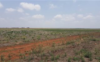 140 ha Farm in Grootfontein Estate