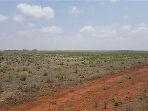 140 ha Farm in Grootfontein Estate