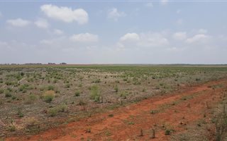 140 ha Farm in Grootfontein Estate